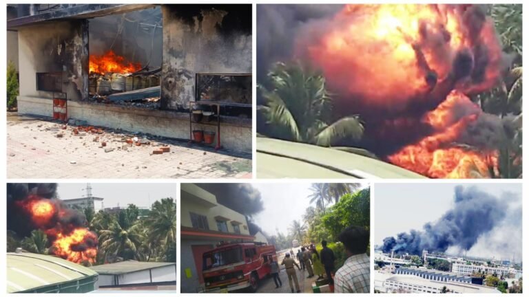 ಕೆಮಿಕಲ್ ಫ್ಯಾಕ್ಟರಿಗೆ ಬೆಂಕಿ : ಲಕ್ಷಾಂತರ ರೂ. ಮೌಲ್ಯದ ವಸ್ತು ಭಸ್ಮ