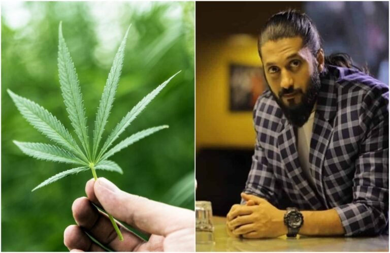 ಗಾಂಜಾ ಕೃಷಿ ಕಾನೂನು ಬದ್ಧಗೊಳಿಸಿ: ನಟ ಚೇತನ್