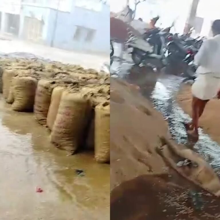 ಅಕಾಲಿಕ ಮಳೆ: ಮಾರಾಟವಾಗಬೇಕಿದ್ದ ಫಸಲು ನೀರುಪಾಲು